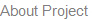 About Project